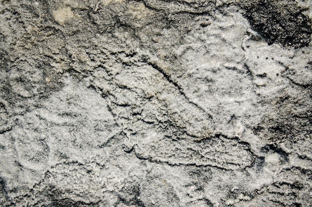 Surface du sel de guérison du spa sur le sol boueux avec piste humaine, arrière-plan naturel de soins du corps d'été