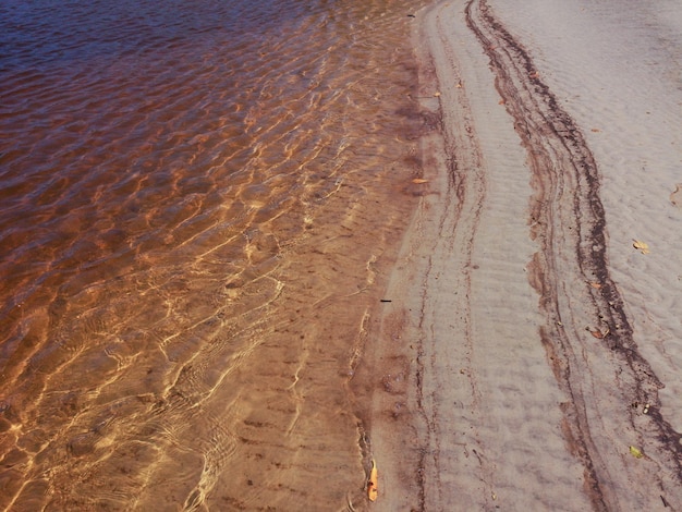 Surface de l'eau de la rivière dorée Texture de l'eau eau dorée transparente