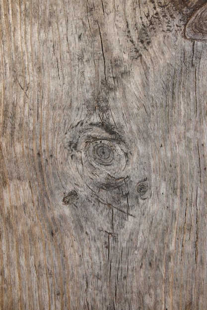 Photo surface de fond de texture bois clair avec motif naturel ancien. vieille texture de bois, vieille planche