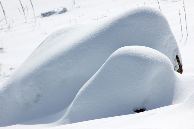 Surface de neige