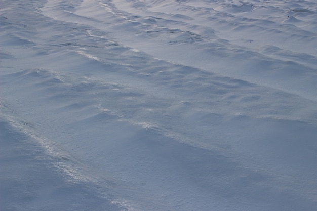 La surface des notes neigeuses