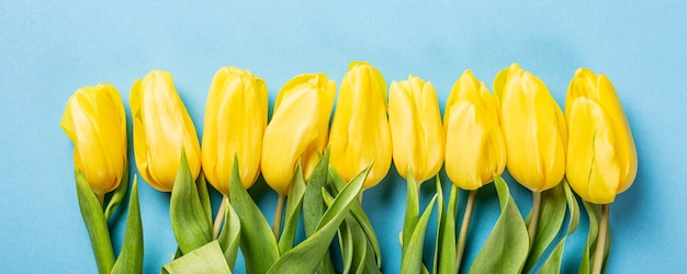 Surface de Pâques avec des tulipes jaunes sur bleu. Carte de voeux pour la fête des mères. Copier l'espace