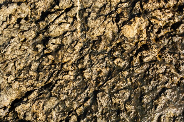 Surface de roche ou de pierre comme texture de fond