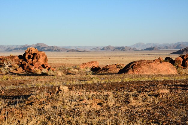 Une surface rocheuse dans une zone désertique avec de petites plantes sous un ciel dégagé