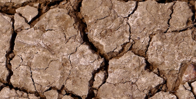 Une surface de terre brune avec une fissure au milieu.