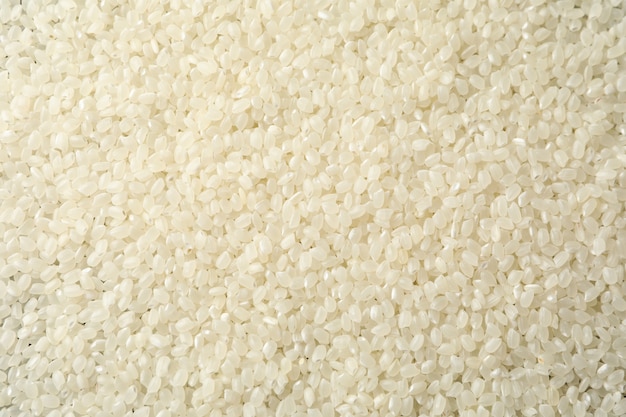 Surface de texture de riz