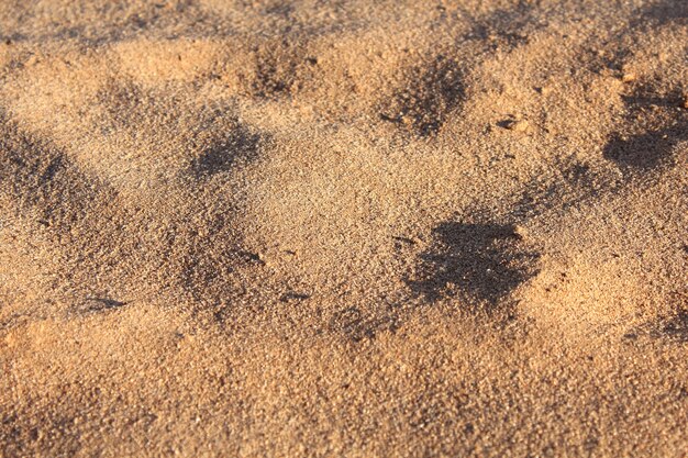 Surface texturée de sable