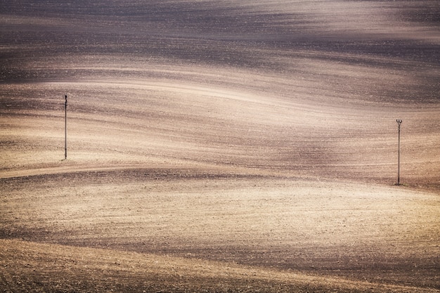 Photo surface des vagues de champ grunge