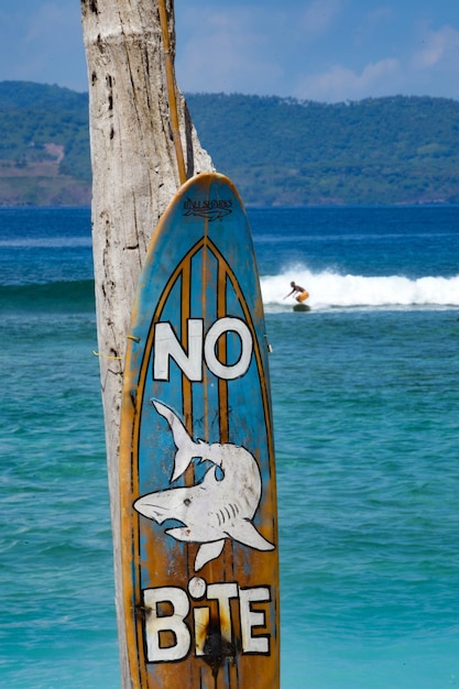 Photo surfeur sur l'île de gili