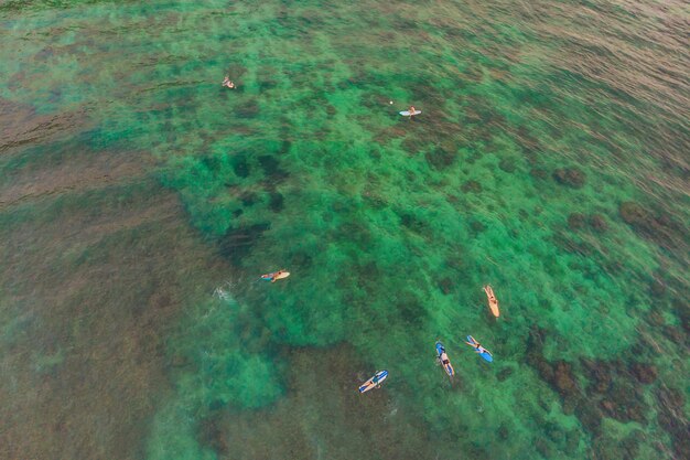 Surfeurs sur les vagues de l'océan, vue de dessus.