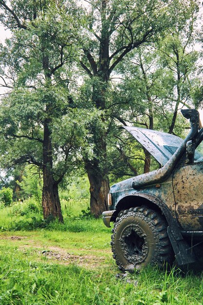 Le SUV est tombé en panne lors d'un voyage tout-terrain dans la nature avec le capot ouvert