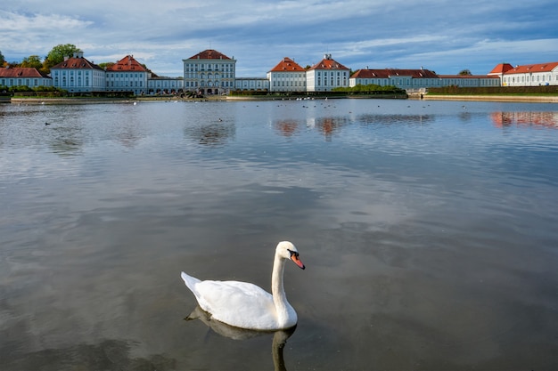 Swan dans l'étang près du palais de Nymphenburg Munich Bavière Allemagne