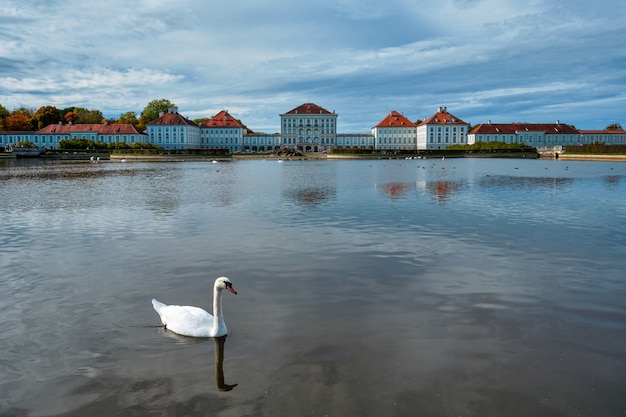 Swan dans l'étang près du palais de Nymphenburg Munich Bavière Allemagne