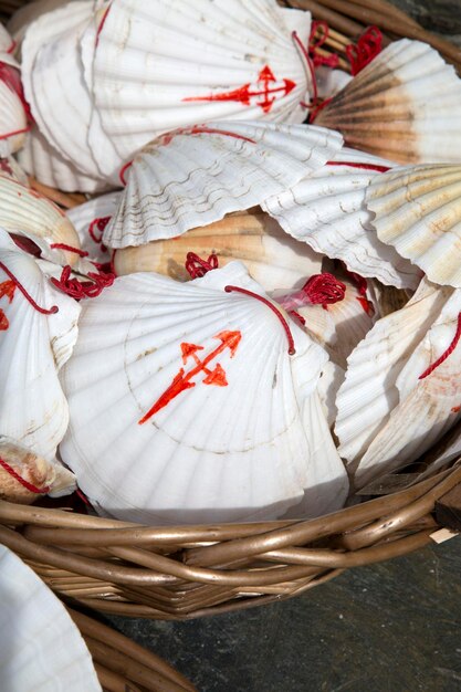 Symbole de coquille de Camino de Santiago, Espagne