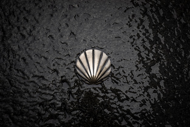 Symbole De Coquille De St James Way. Panneau En Bronze Camino De Santiago