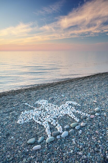 Symbole du cavalier sur le bord de la mer pendant le coucher du soleil