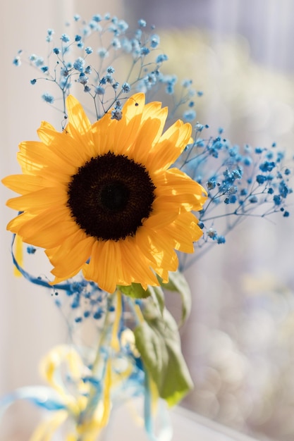 Symbole de fleurs jaunes et bleues Ukraine