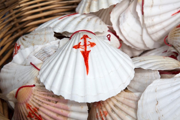 Symbole Shell de Camino de Santiago, Galice, Espagne