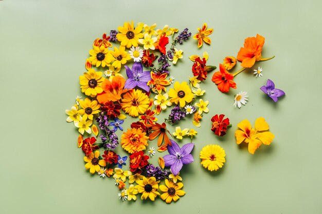 Symbole de la tête humaine avec des fleurs bleues et jaunes orange sur fond vert