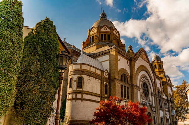 Synagogue de Novi Sad en Serbie