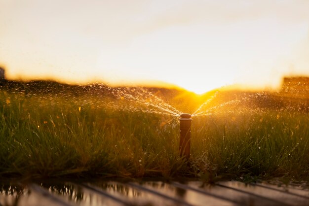 Système d'arrosage automatique arrosant la pelouse au coucher du soleil.