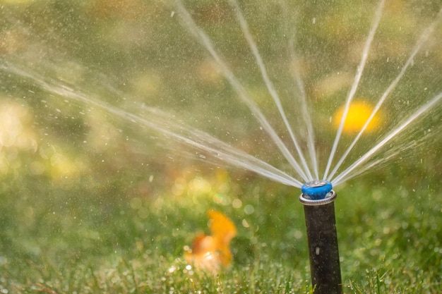 Système d'arrosage automatique arrosant la pelouse en gros plan