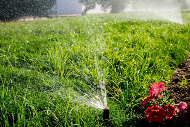 Système d'arrosage automatique dans le jardin