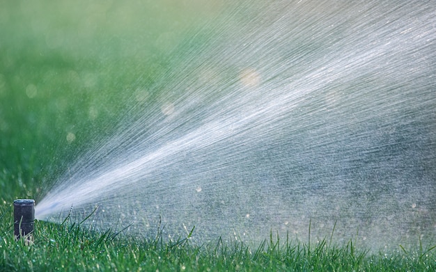 Le système d'arrosage automatique irrigue la pelouse