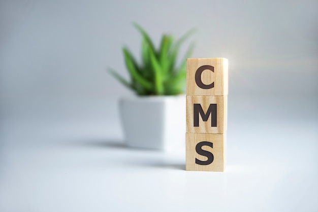 Système de gestion personnalisé CMS