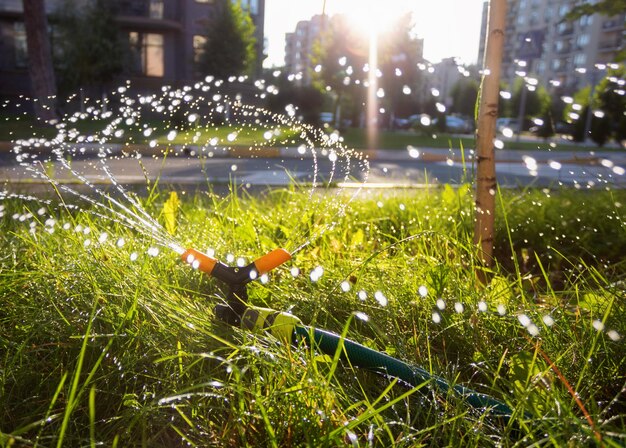 Photo système d'irrigation automatique pulvérisant de l'eau sur les pelouses pour nourrir l'herbe au coucher du soleil avec un soleil éclatant