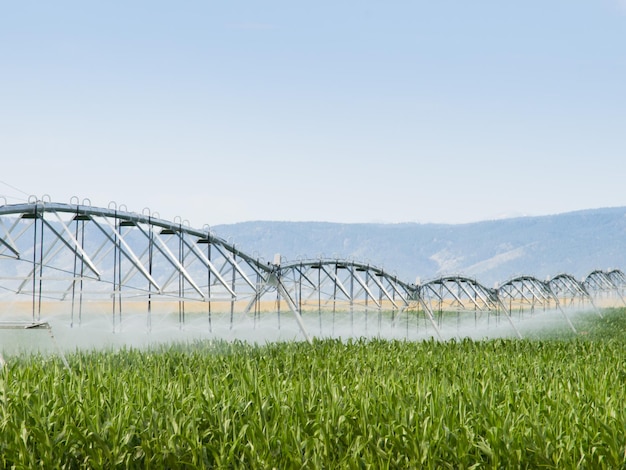 Système d'irrigation circulaire sur le terrain de la ferme.