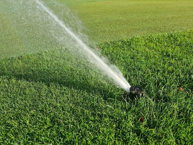 Système d'irrigation par aspersion pour l'entretien des pelouses extérieures