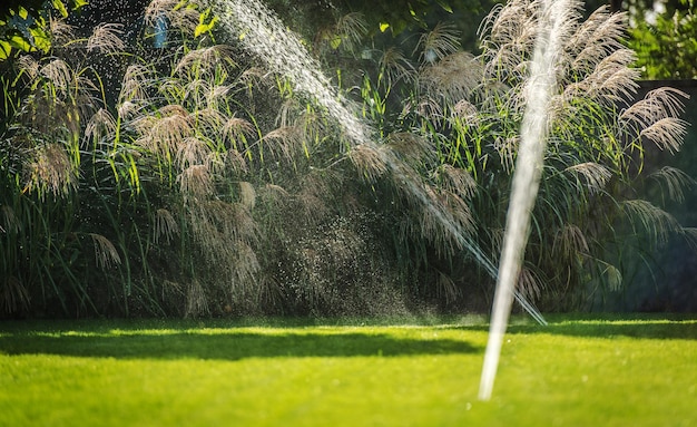 Système d'irrigation par gicleurs pour jardins résidentiels