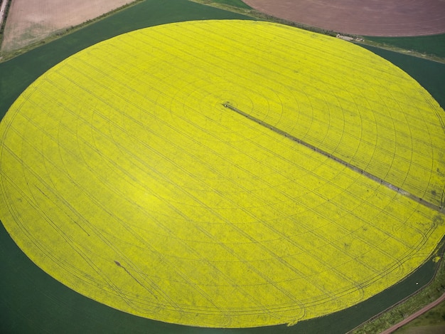 Système d'irrigation à pivot central sur une vue aérienne de drone de champ de colza jaune