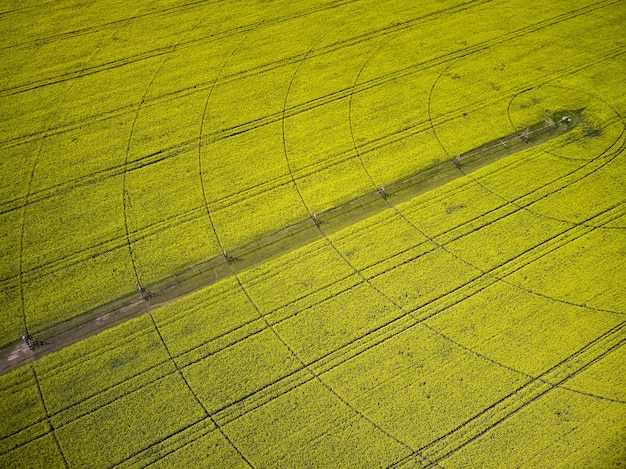 Système d'irrigation à pivot central sur une vue aérienne de drone de champ de colza jaune