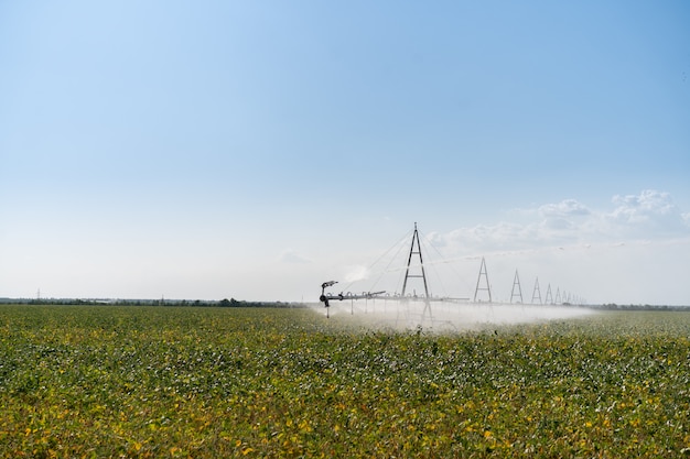 Système d'irrigation pour arroser les cultures sur le champ de la ferme