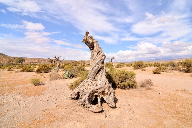 Tabernas du désert dans la province d'Almeria en Espagne