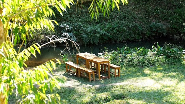 Table et bancs en bois près de la rivière parmi les arbres tropicaux et la verdure