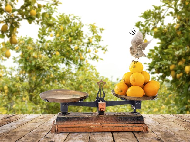 Photo table en bois dans un champ de fruits