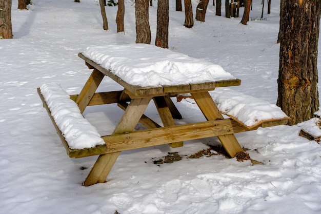 table en bois dans la neige