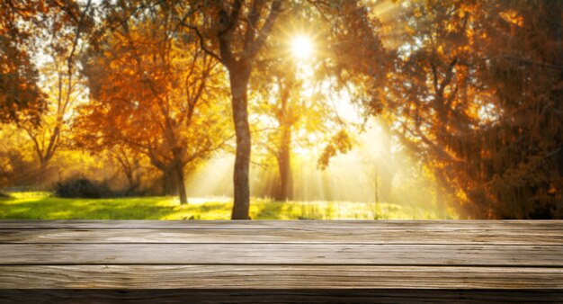 Table en bois dans le paysage d'automne avec un espace vide.