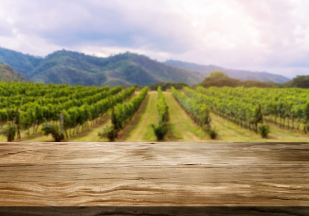 Table en bois dans le paysage de vignoble de printemps vert.