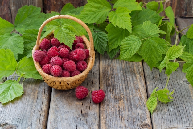 sur une table en bois framboises dans un panier