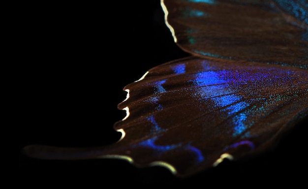 Photo une table en bois avec de la nourriture et une variété de nourriture dessus.