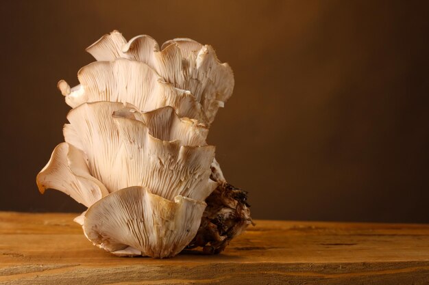 Table en bois de pleurotes sur fond marron