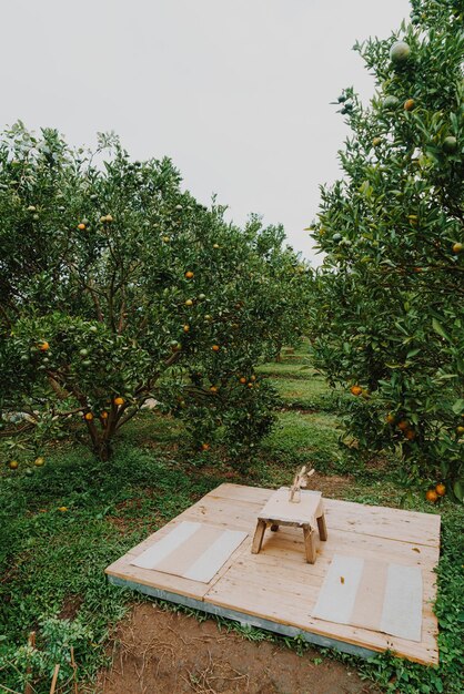 Table en bois avec siège dans le jardin orange