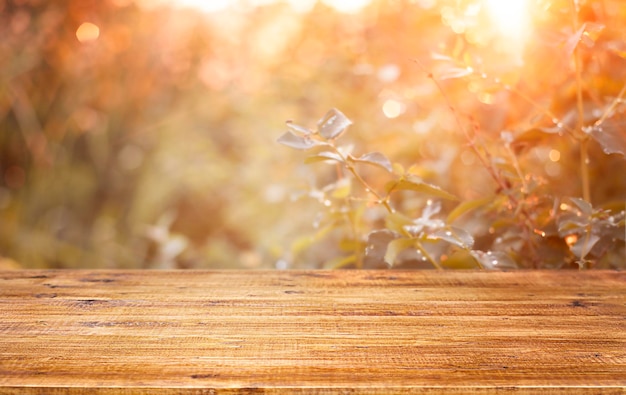 Table en bois vide avec espace libre sur le fond du jardin dans les rayons du soleil couchant.