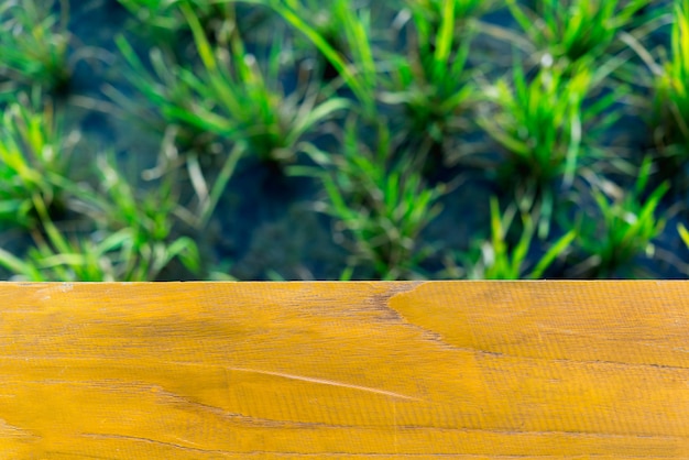 Table en bois vide avec rizière en arrière-plan