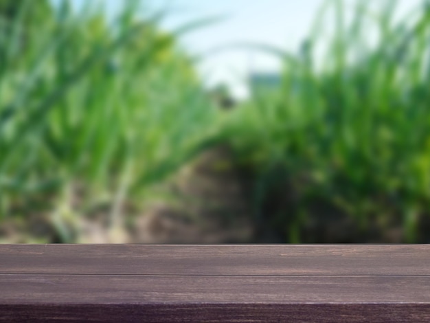 Table en bois vide avec vue sur le jardin bokeh pour la restauration ou le modèle de maquette de vitrine de produits alimentaires