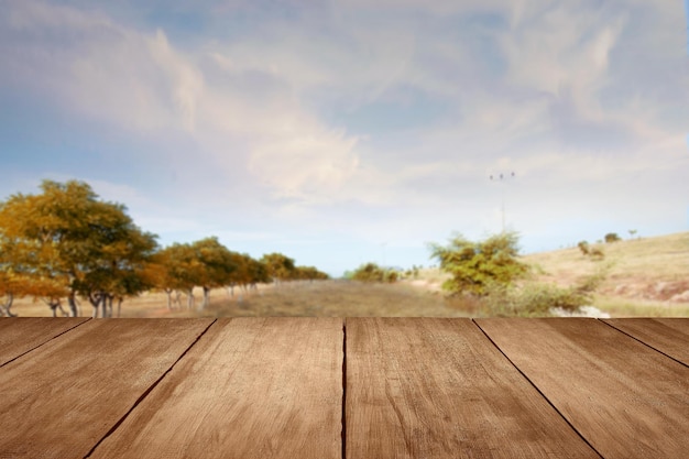 Table en bois avec vue sur un champ de prairie avec des arbres